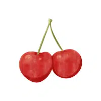 Sparkleberry | Berry Fruits Names