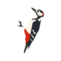 Spotted | Nocturnal Birds Names