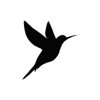 Starowl | Nocturnal Birds Names
