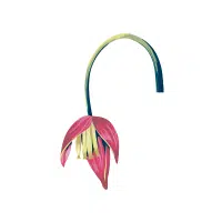 Stock | Biennial Flowers Names