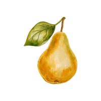 Stone Pear | Hard Fruits Names