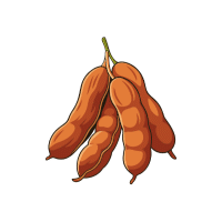 Tamarind | Hard Fruits Names