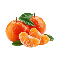 Tangerine | Orchard Fruit Names