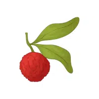 Tayberry | Berry Fruits Names