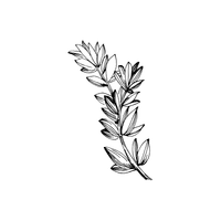 Thyme