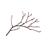 Twig