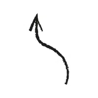 Twisted Curve