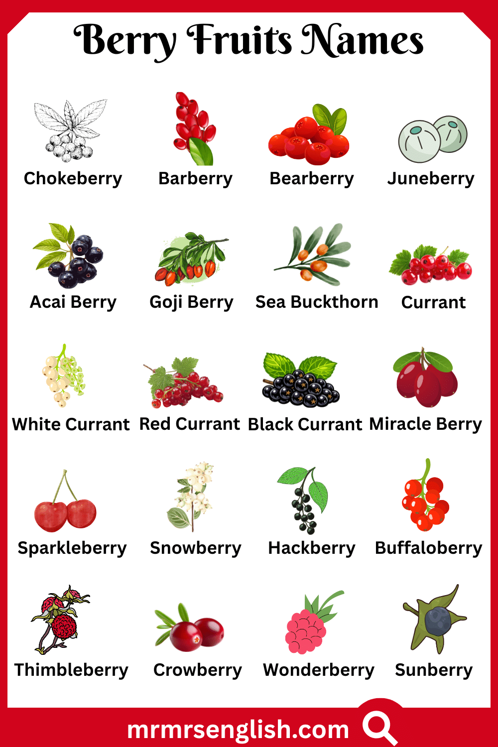 Types of Berry Fruits in English with Pictures