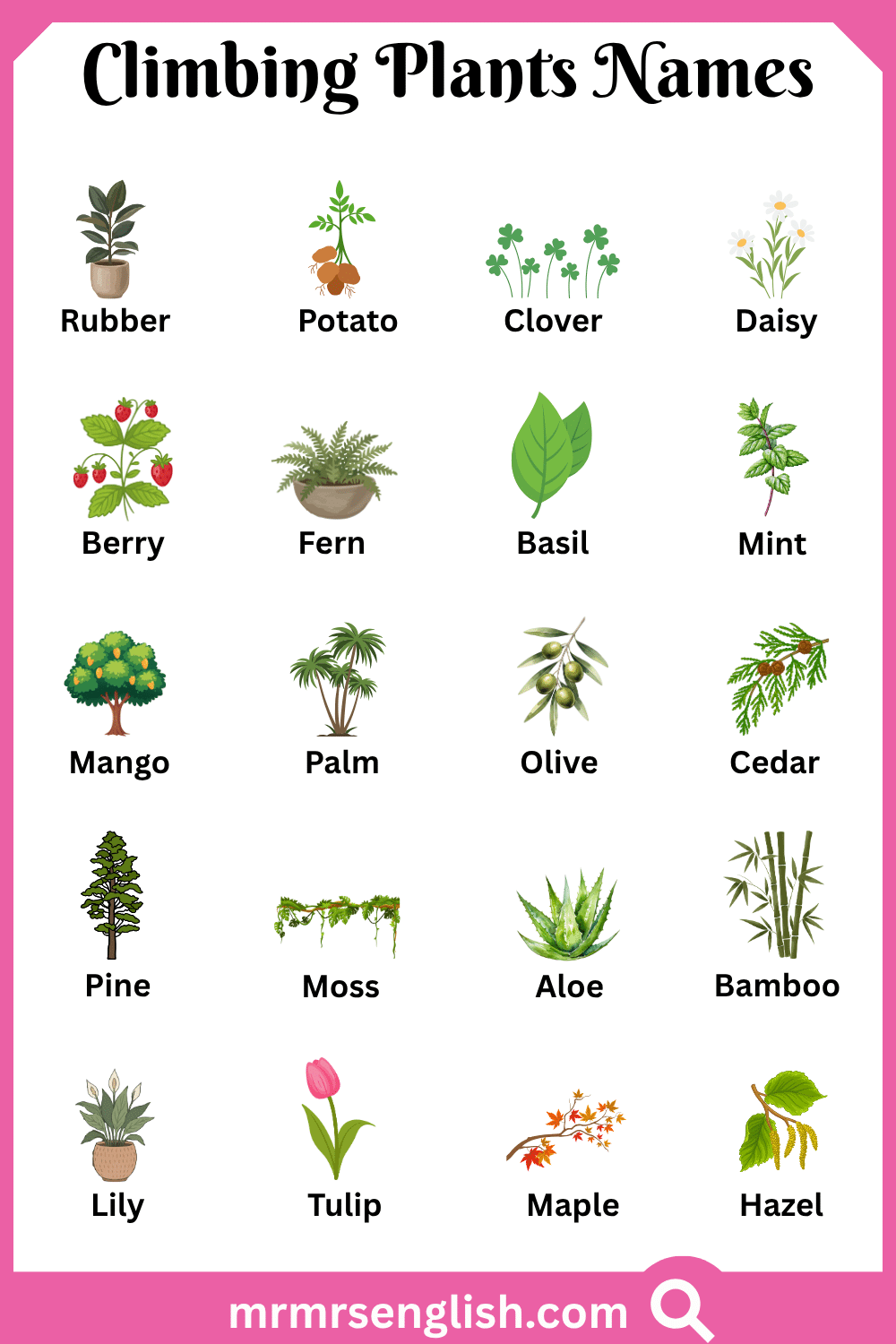 Types of Climbing Plants Names with Pictures