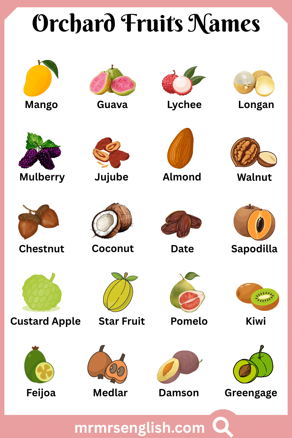 Types of Orchard Fruits Names with Pictures
