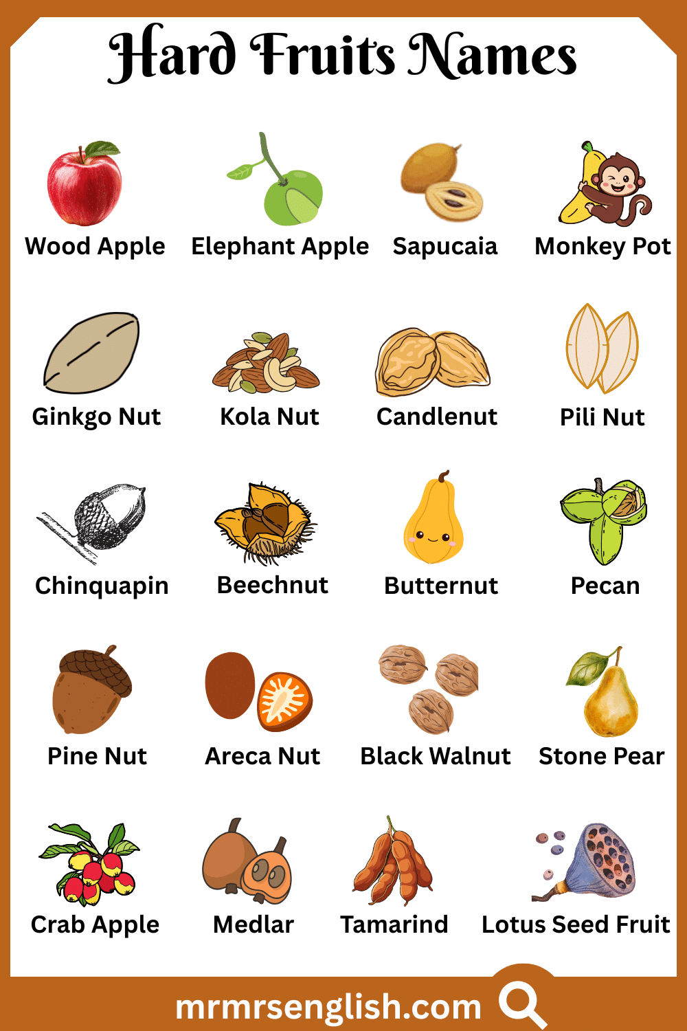 Types of Hard Fruits Names with Pictures