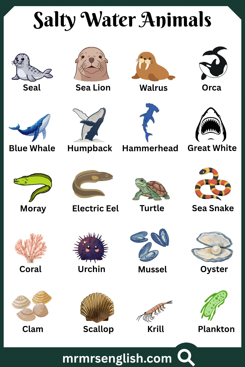 Types of Salty Water Animals in English with Pictures