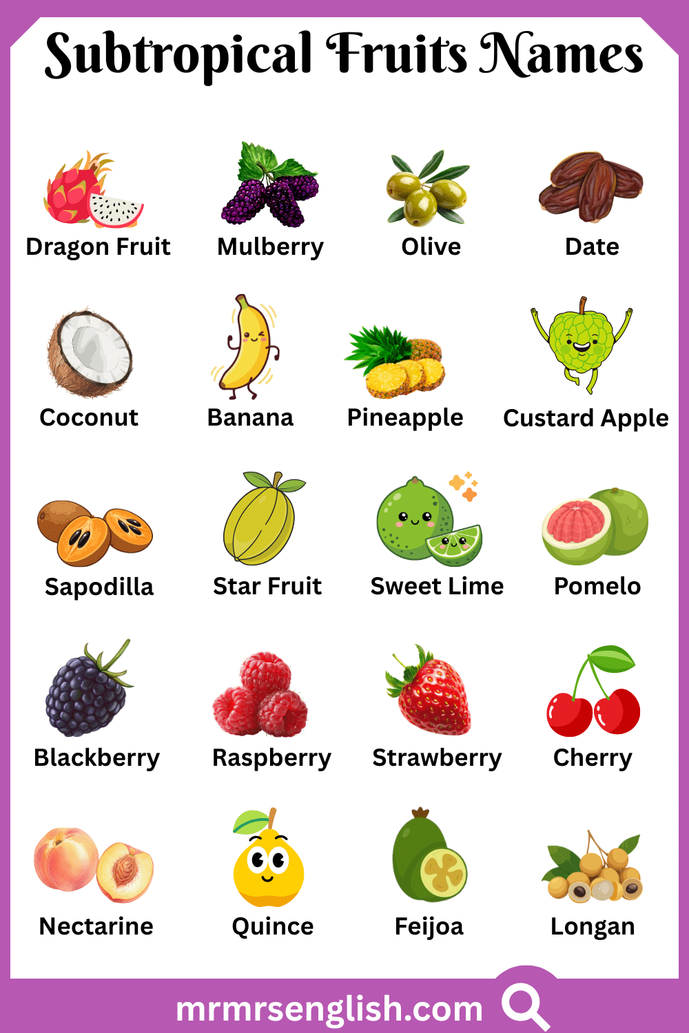 Types of Subtropical Fruits in English with Pictures