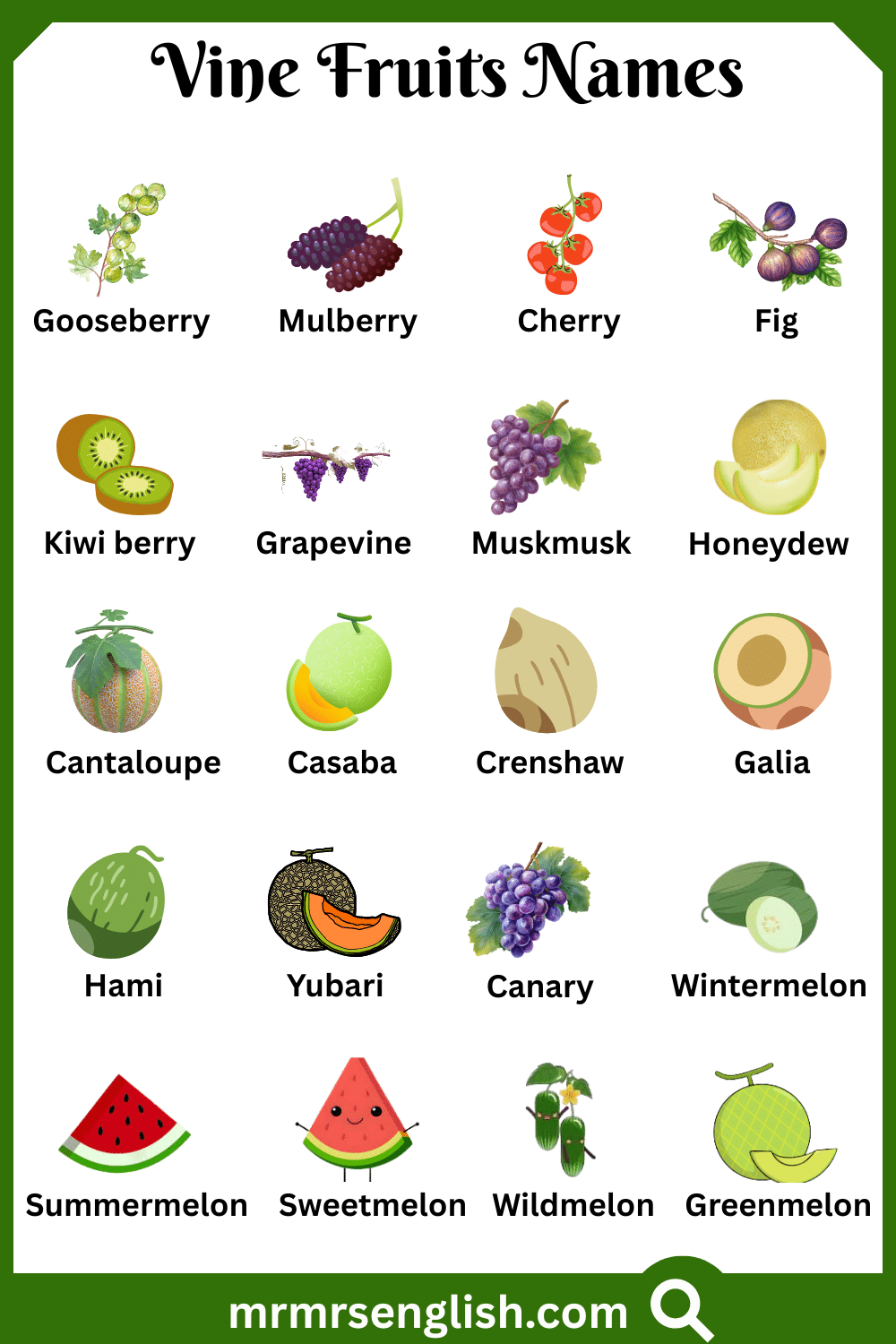 Types of Vine Fruits Names with Pictures
