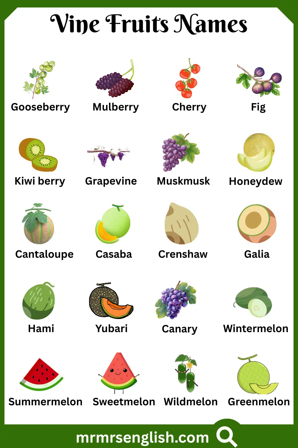 Types of Vine Fruits Names with Pictures