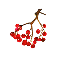 Viburnum | Deciduous Plants Names