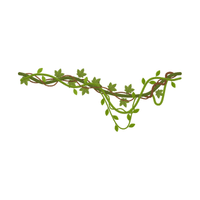Vine