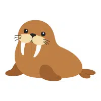 Walrus | Salty Water Animals Names