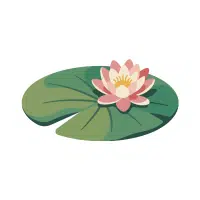 Water Lily | Aquatic Plants Names