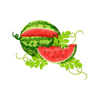 Watermelon | Vine Fruits Names