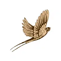 Whippoor | Nocturnal Birds Names