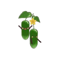 Wildmelon | Vine Fruits Names