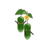 Wildmelon | Vine Fruits Names
