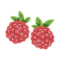 Wineberry | Berry Fruits Names