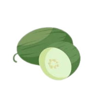 Wintermelon | Vine Fruits Names