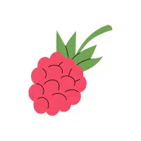 Wonderberry | Berry Fruits Names