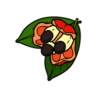 Ackee