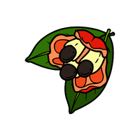 Ackee