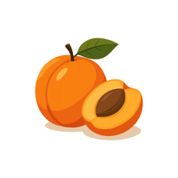 Apricot