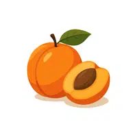 Apricot