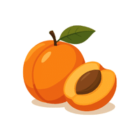 Apricot