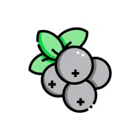 Aronia