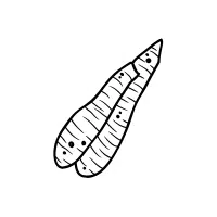 Arrowroot