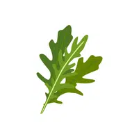 Arugula