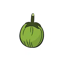Ashgourd