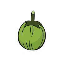 Ashgourd