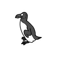 Auk