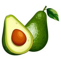 Avocado