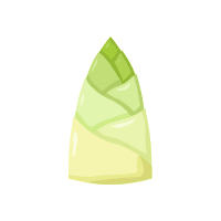 Bamboo