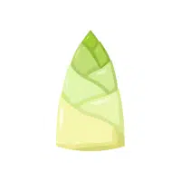 Bamboo