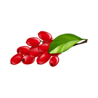 Barberry