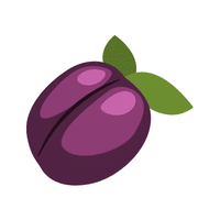 Beach Plum