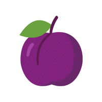 Beachplum