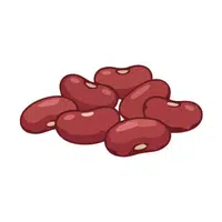 Bean