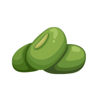 Bean