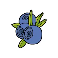 Bilberry
